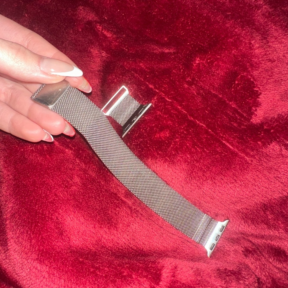 APPLE WATCH BAND | STAINLESS STEEL MESH |